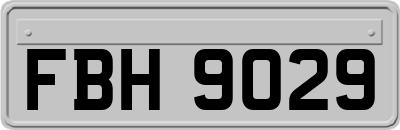 FBH9029