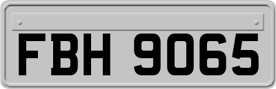 FBH9065