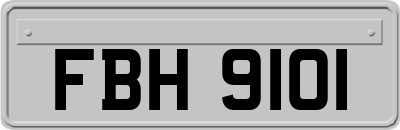 FBH9101
