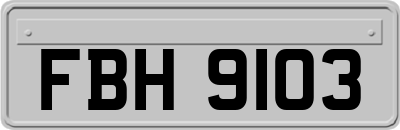 FBH9103