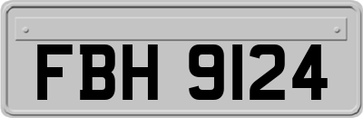 FBH9124