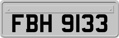 FBH9133