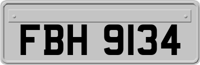 FBH9134