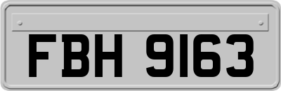 FBH9163