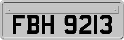 FBH9213
