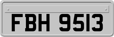 FBH9513