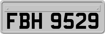 FBH9529