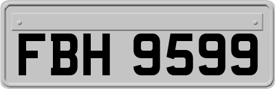 FBH9599