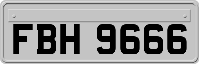FBH9666