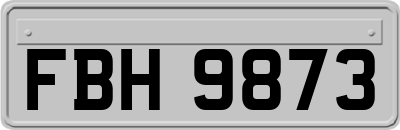 FBH9873