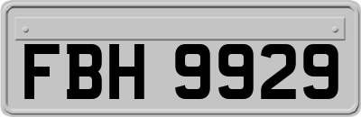 FBH9929