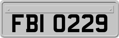 FBI0229