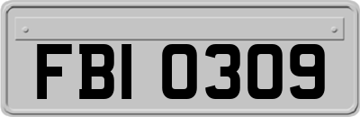 FBI0309