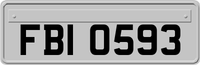 FBI0593