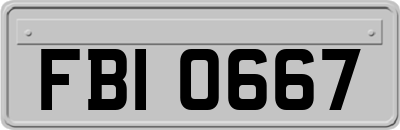 FBI0667