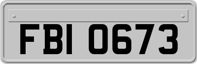 FBI0673