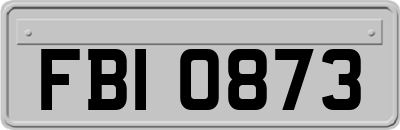 FBI0873