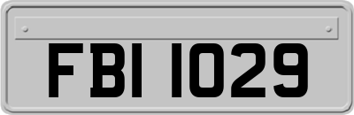 FBI1029