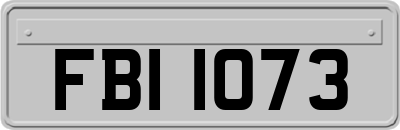 FBI1073