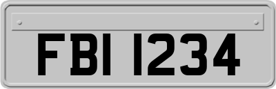 FBI1234