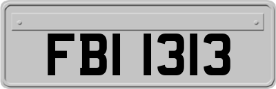 FBI1313