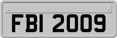 FBI2009