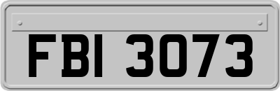 FBI3073