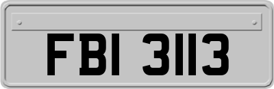 FBI3113