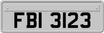 FBI3123