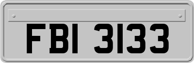 FBI3133