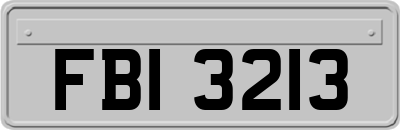 FBI3213