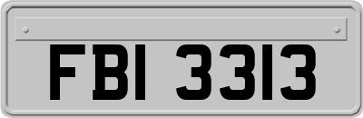 FBI3313