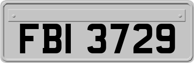 FBI3729