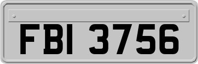 FBI3756