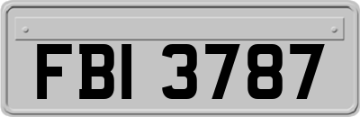 FBI3787