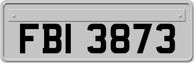 FBI3873
