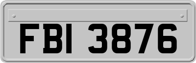 FBI3876