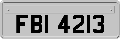 FBI4213