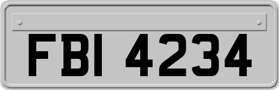 FBI4234
