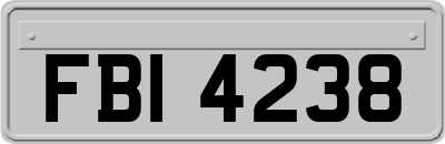 FBI4238