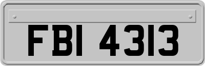 FBI4313