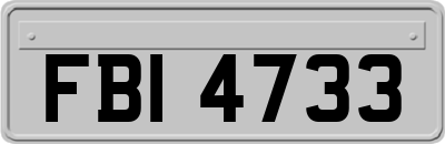 FBI4733