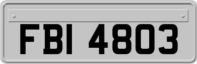 FBI4803