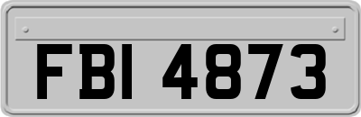 FBI4873