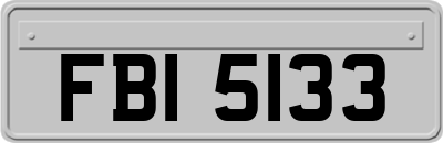 FBI5133