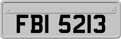 FBI5213