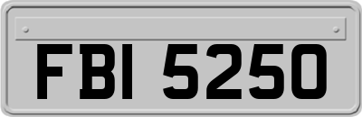 FBI5250