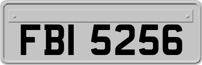 FBI5256
