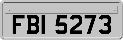 FBI5273