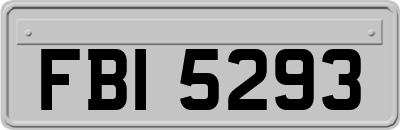 FBI5293